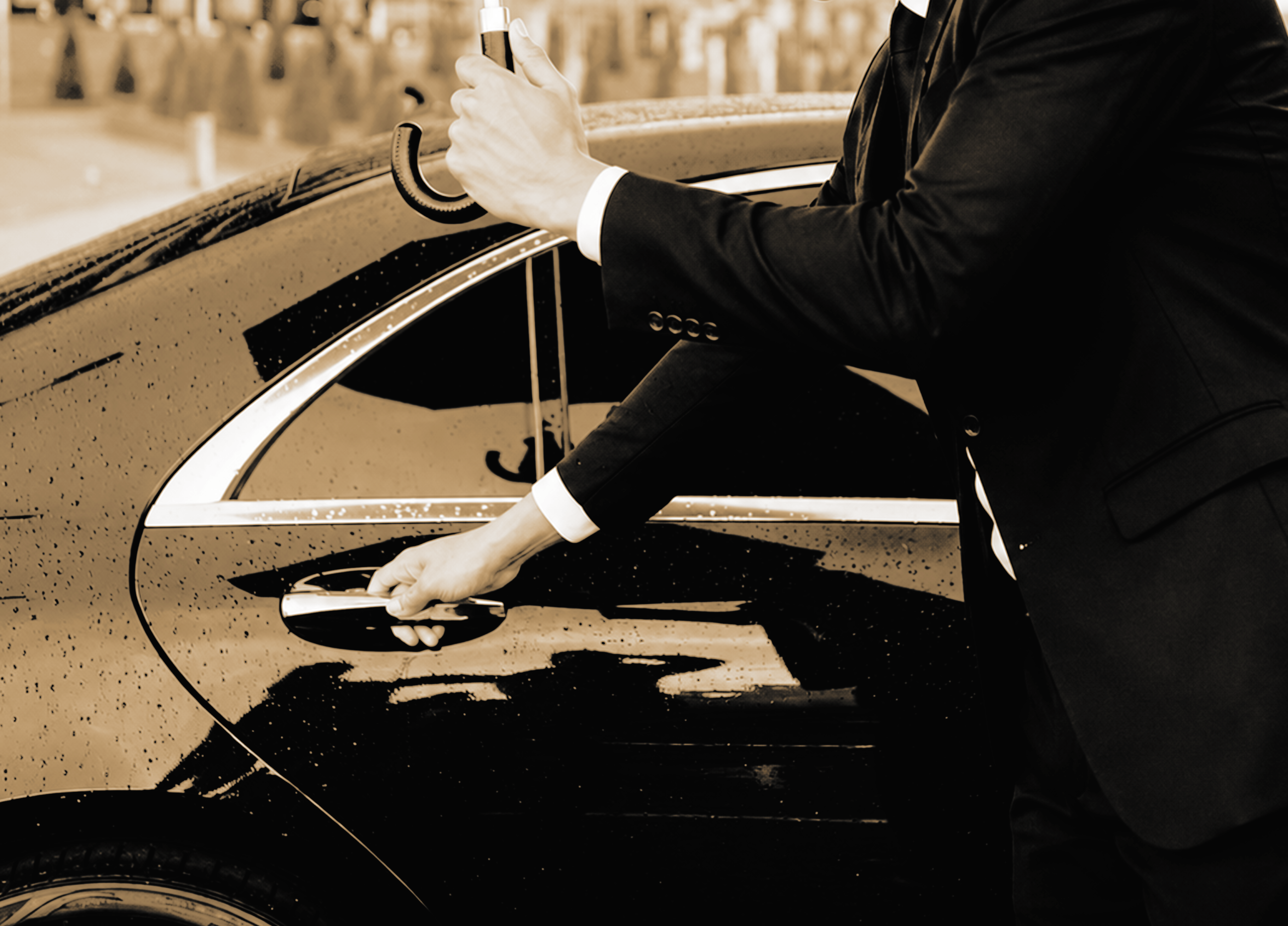 VIP Protection